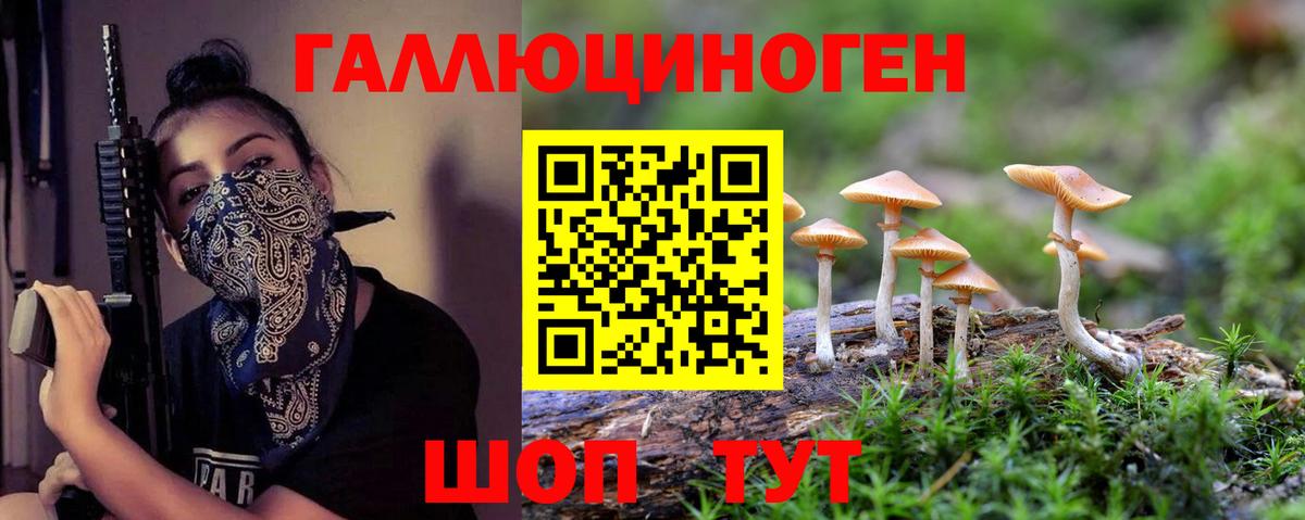 Галлюциногенные грибы GOLDEN TEACHER Ахтубинск